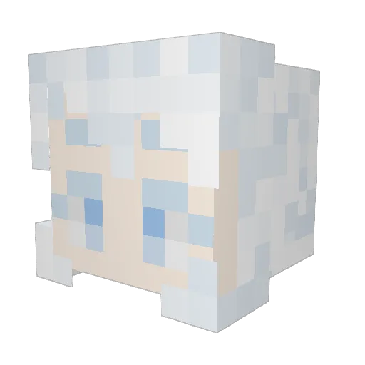 Snom_in_a_Cup Minecraft avatar head, 3D render