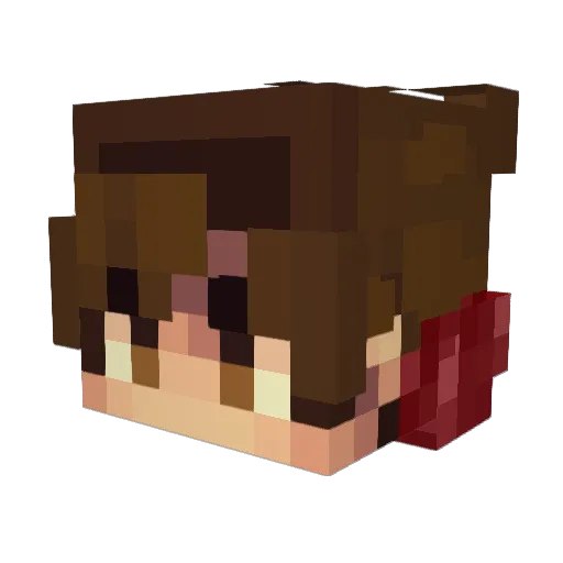 Snoocor Minecraft avatar head, 3D render