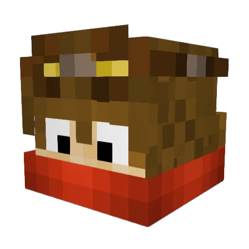 Snoohi Minecraft avatar head, 3D render