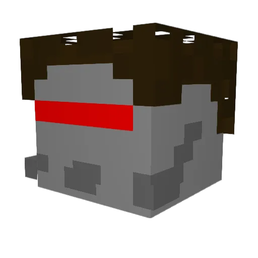 Snook660 Minecraft avatar head, 3D render
