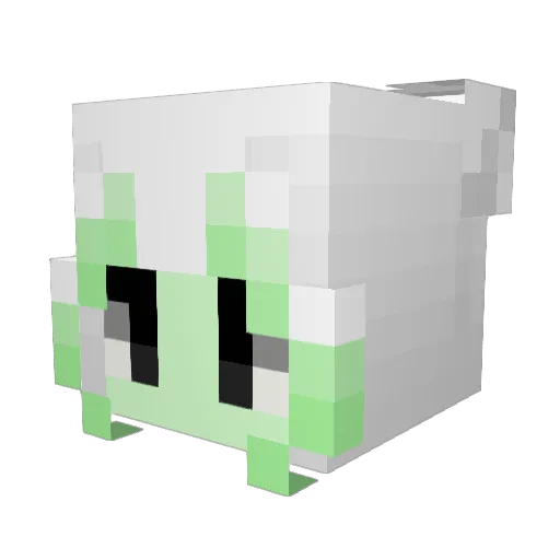 Snoolley Minecraft avatar head, 3D render