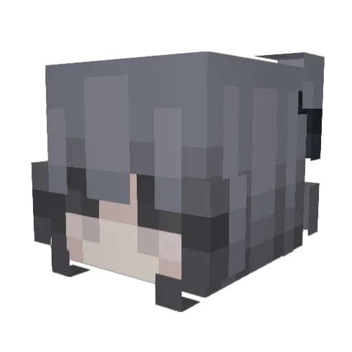 Snooogs Minecraft avatar head, 3D render