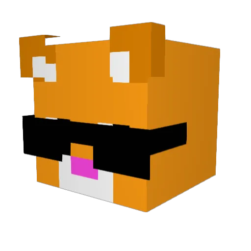 SnoopCraftt Minecraft avatar head, 3D render
