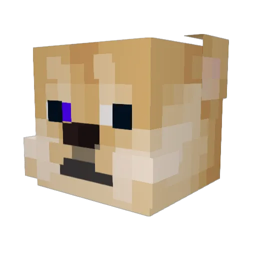 SnoopDogeyDoge Minecraft avatar head, 3D render