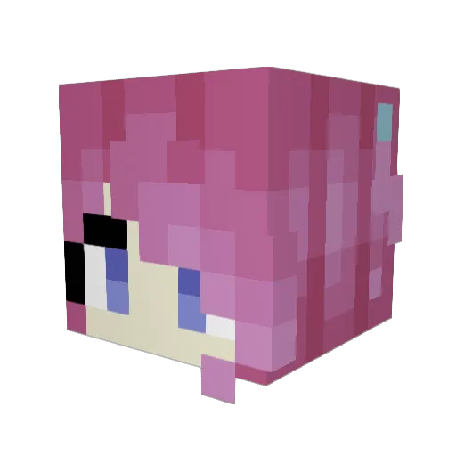 SnoopDogg14 Minecraft avatar head, 3D render