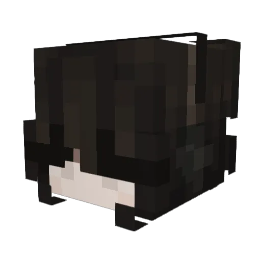 SnoopShiesty Minecraft avatar head, 3D render