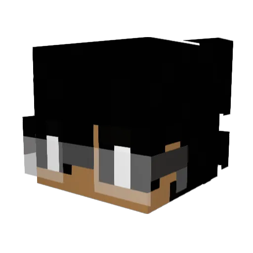 SnoopTheReach Minecraft avatar head, 3D render