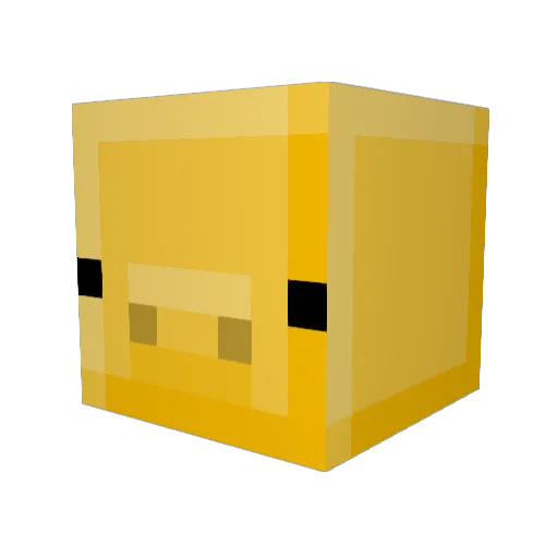 SnoopWoot25 Minecraft avatar head, 3D render