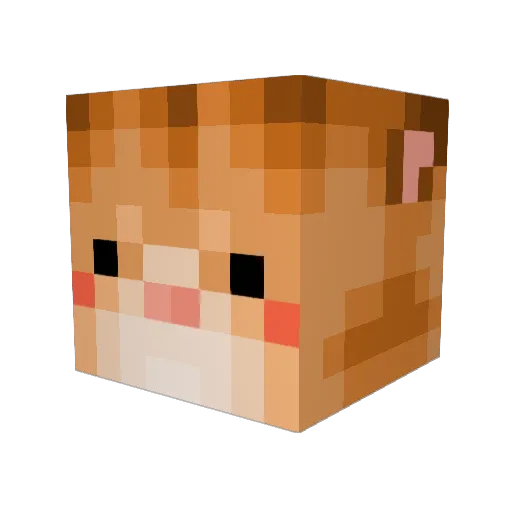 Snoop_Sloth Minecraft avatar head, 3D render