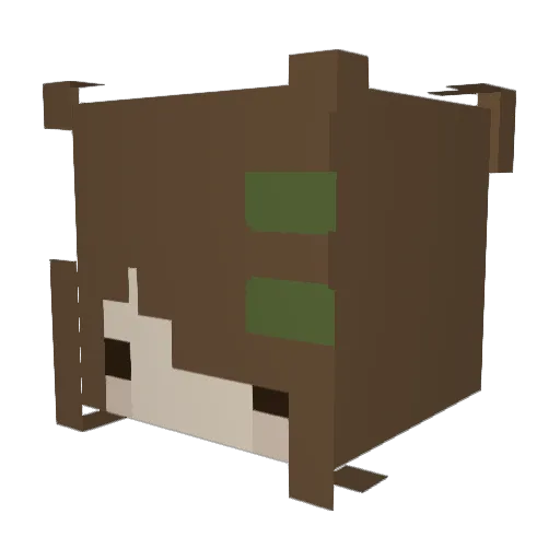 Snoopdog89 Minecraft avatar head, 3D render