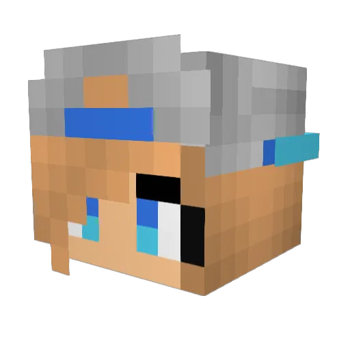 Snoopduck15 Minecraft avatar head, 3D render