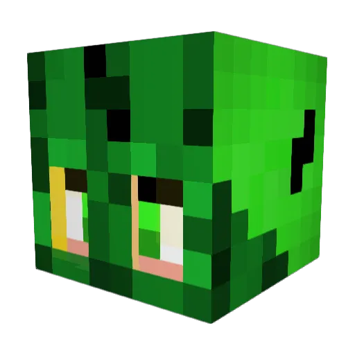 Snooplez Minecraft avatar head, 3D render