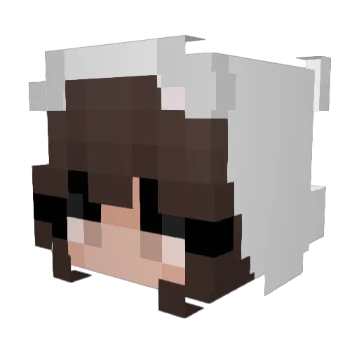 Snoopy0805 Minecraft avatar head, 3D render