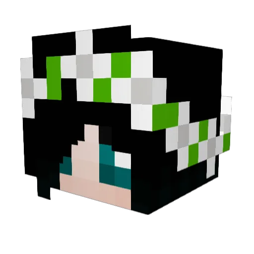 Snoopy432 Minecraft avatar head, 3D render