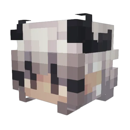 Snoopywizard8 Minecraft avatar head, 3D render
