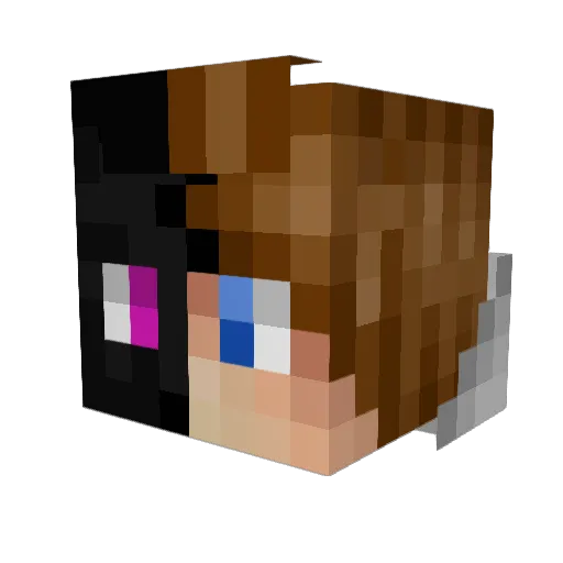 Snooron Minecraft avatar head, 3D render