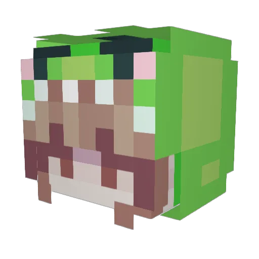 SnootBooper3000 Minecraft avatar head, 3D render
