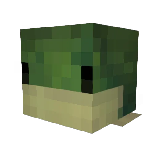 SnootNibbler Minecraft avatar head, 3D render