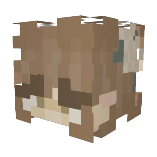 SnootWizard Minecraft avatar head, 3D render