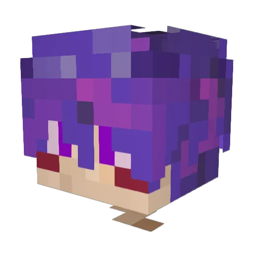 Snooze____ Minecraft avatar head, 3D render