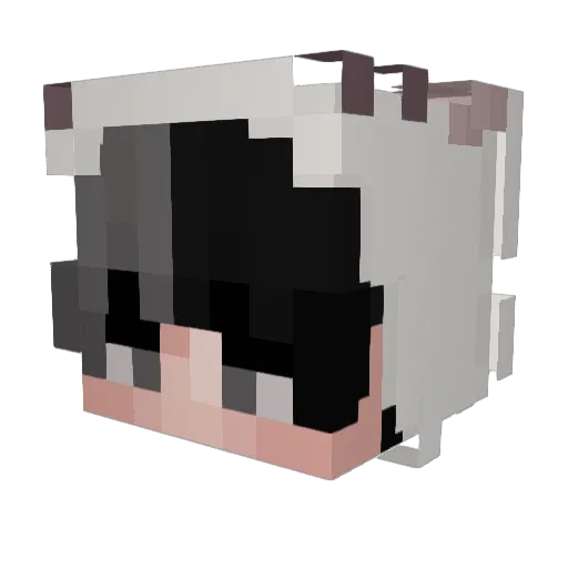 Snoozeey Minecraft avatar head, 3D render