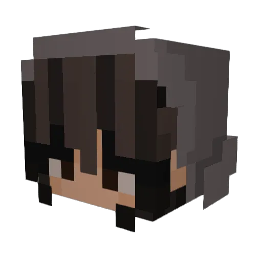 Snoozybee Minecraft avatar head, 3D render