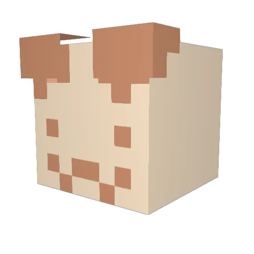 Snoozypher Minecraft avatar head, 3D render