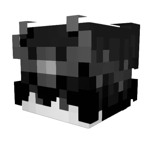 Snorax1869 Minecraft avatar head, 3D render
