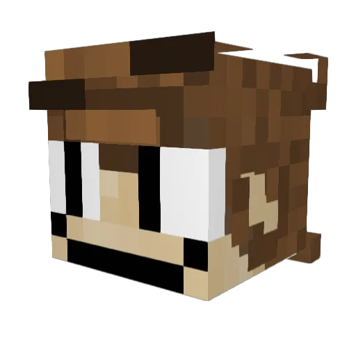Minecraft-Avatar von SnorfleblatMC: Kopf als 3D-Render