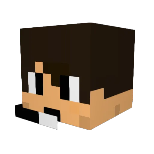 Snorgi_66 Minecraft avatar head, 3D render