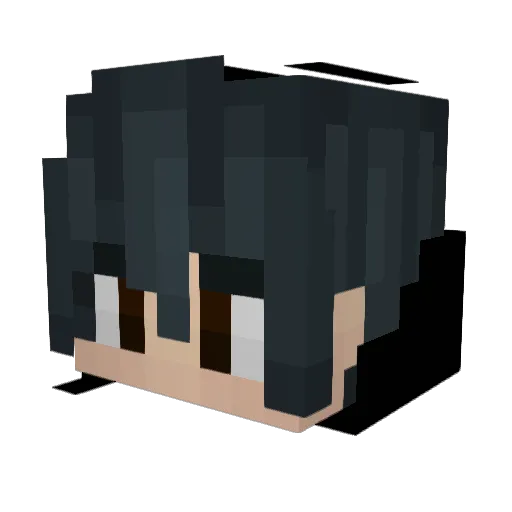 SnortTehCoke Minecraft avatar head, 3D render