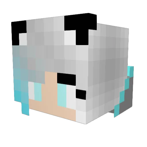 SnouWulf Minecraft avatar head, 3D render