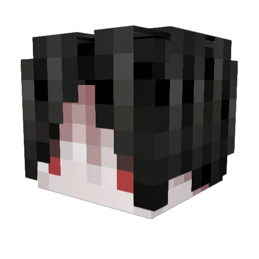 Snow5420 Minecraft avatar head, 3D render