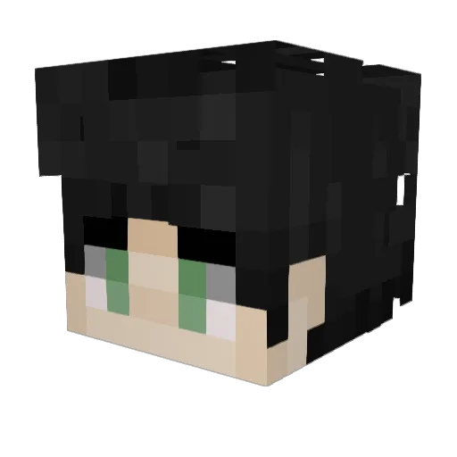 Snow558117 Minecraft avatar head, 3D render