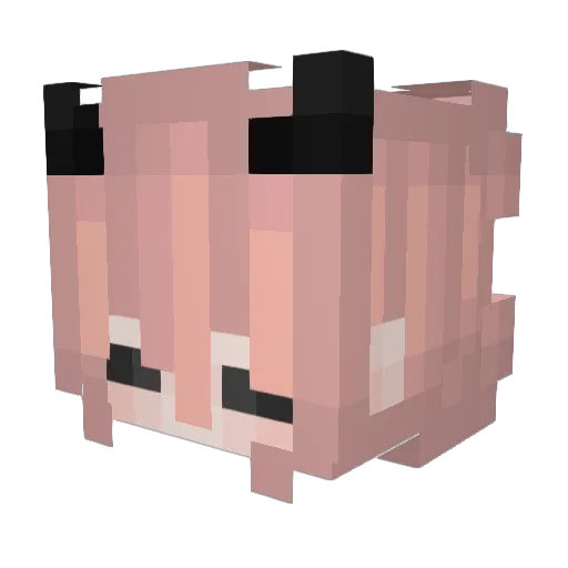Snow8060 Minecraft avatar head, 3D render
