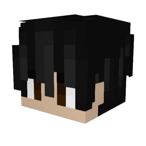 SnowAngel19 Minecraft avatar head, 3D render