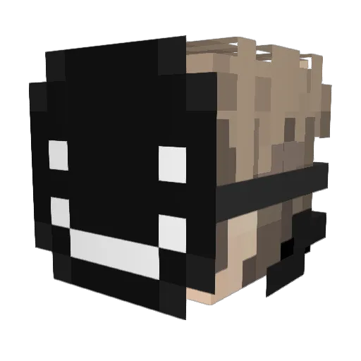 SnowBound76 Minecraft avatar head, 3D render
