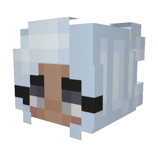 SnowBun01 Minecraft avatar head, 3D render