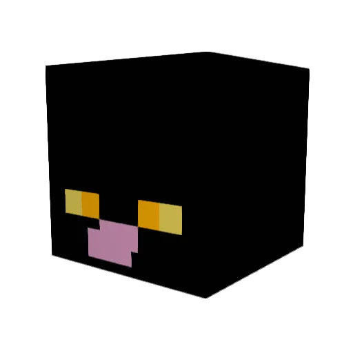 SnowCatSnek Minecraft avatar head, 3D render