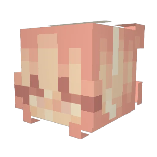 SnowCloud02 Minecraft avatar head, 3D render
