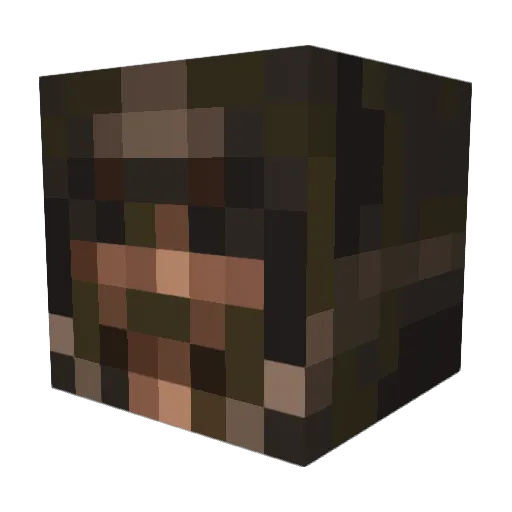 SnowDragon77 Minecraft avatar head, 3D render