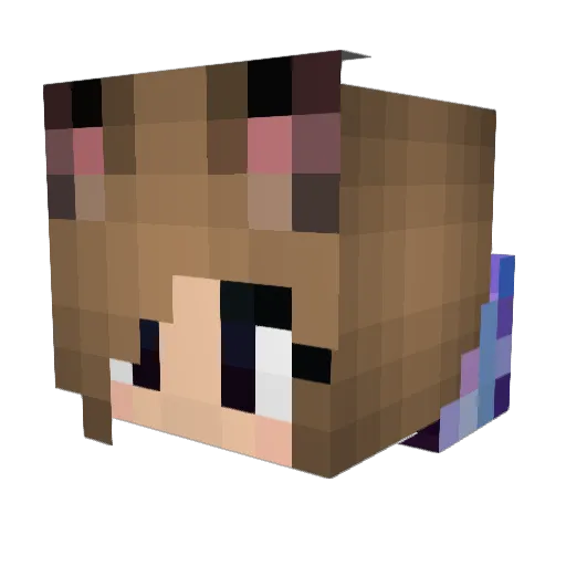 SnowElves Minecraft avatar head, 3D render