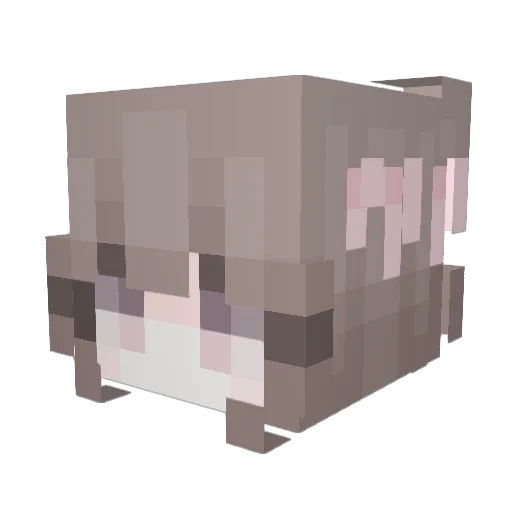 SnowFallDeath Minecraft avatar head, 3D render