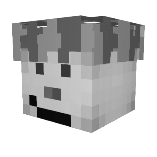 SnowFighter215 Minecraft avatar head, 3D render