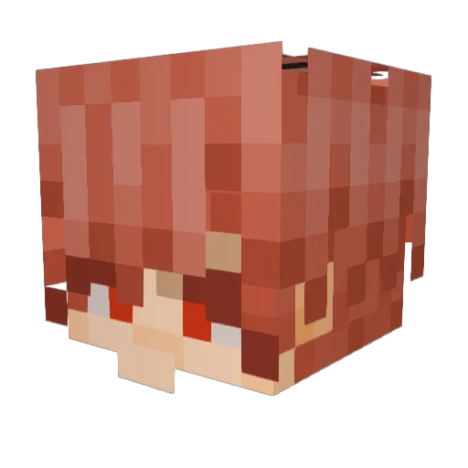 SnowFox1615 Minecraft avatar head, 3D render