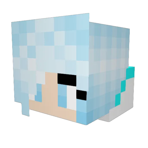 SnowFxy Minecraft avatar head, 3D render