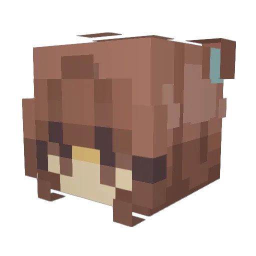SnowGirl77 Minecraft avatar head, 3D render