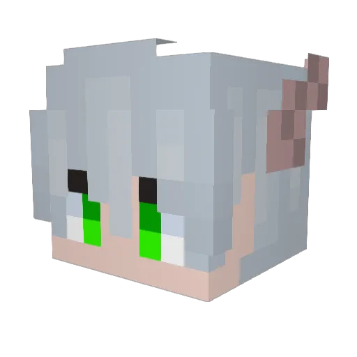 SnowHawk_ Minecraft avatar head, 3D render