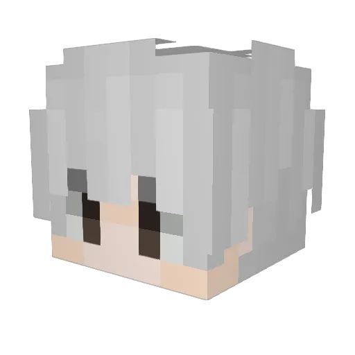SnowKota Minecraft avatar head, 3D render