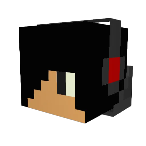SnowMan11725 Minecraft avatar head, 3D render